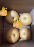 京喜加正宗秋月梨羊脂秋月梨冰糖秋月梨莱阳特产【五】 净重2-2.2斤装 实拍图