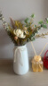 枔北 陶瓷花瓶花艺装饰摆件 日式轻奢高级感插花水养瓷器客厅装饰品 芳华白色小号花瓶(高约20厘米) 尺寸参考详情 实拍图