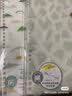 锦宫(King Jim)B5活页本笔记本线圈本TEFRENU style系列 浅绿宝石 9855TES-GS JEWEL 实拍图