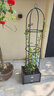 水生田 爬藤架攀爬支架月季葡萄蔷薇庭院花园铁线莲室外拱形拱门花架 13mm柱形爬藤架 特大 实拍图
