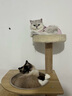 CHONLDERL猫爬架猫窝猫树一体大型太空舱猫架子四季通用剑麻猫咪玩具用品 【175CM 10层双太空舱】奥斯汀AST-1 实拍图