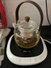小熊（Bear）电陶炉 煮茶器煮茶炉煮茶壶 围炉煮茶黑茶花茶泡茶蒸茶一体不挑器具0.6L ZCQ-L05H5 实拍图