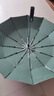 TTK全自动德国超大雨伞加大加固加厚伞女男士折叠大号三人抗风暴专用 抹茶绿【伞下105cm+自动防回弹】 实拍图