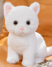 龙猫泰迪小猫抱枕猫咪玩偶布娃娃可爱仿真猫公仔毛绒玩具儿童女生安抚礼品 白色猫 53 晒单实拍图