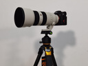富图宝（Fotopro）起源Origin Plus (20周年纪念版) 大号纯碳纤维异形设计全景云台数码相机微单摄影三脚架 实拍图