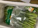 東昇供港菜心300g菜薹新鲜时蔬食品嫩甜现摘火锅白灼 供港蔬菜 实拍图
