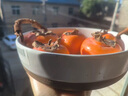 九土日式复古粗陶餐盘大容量深盘手工编织把手陶瓷菜盘汤盆圆形水果盘子日式圆盘创意家用 套装一 实拍图