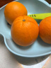 新奇士（Sunkist）美国蓝标早脐橙 2kg 单果180g起 新鲜水果 晒单实拍图