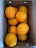 玖原农珍 赣南脐橙现摘新鲜榨汁水果橙子 年货水果礼盒 18斤净果彩箱精品果200-300g 实拍图