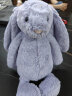 Jellycat英国高端毛绒玩具 害羞紫罗兰邦尼兔 31cm 毛绒送女友 生日礼物 晒单实拍图