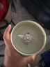 九阳（Joyoung）榨汁机便携式果汁杯料理机搅拌机生节日礼物L3-C86（绿） 实拍图