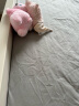 富安娜出品 床上四件套全涤双面磨毛套件床品 双人床单被罩ins风 纯色款-灰色2.0 1.5米/1.8米床 被套203*229cm 晒单实拍图