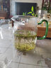 公道杯茶漏一体玻璃耐热加厚分茶器套装绿茶茶具月牙过滤泡茶公杯 月牙公道杯450ml-绿把 实拍图