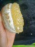 攸竹新鲜青皮葡萄柚子 黄金葡萄柚 爆汁葡萄柚 青皮西柚皮薄多汁肉嫩 3斤 普通装 实拍图