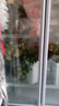 煦雪 鲜花保鲜柜花店冷藏风冷无霜立式花艺花柜鲜花店商用节能高端展示柜冰箱冰柜 三门白色鲜花保鲜柜 实拍图