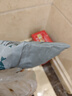 保温袋带饭牛津布饭盒袋加厚保温袋便当包手提包学生防水便当袋饭盒包手提袋 灰色 实拍图
