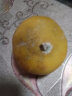 小博生鲜四川 安岳黄柠檬 新鲜水果 酸爽多汁泡水生鲜 3斤装 10-15个 实拍图