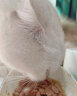 伟嘉猫零食成猫妙鲜包85g*12牛肉味猫湿粮餐包软包全价粮 实拍图