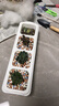 春草碧多肉植物盆栽老桩24款入门肉肉迷你多肉办公室内阳台桌面绿植花卉 吸财树+花瓣盆+土 实拍图