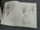 理解人体形态： 巴黎国立高等美术学院实用素描解剖书 晒单实拍图