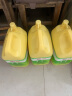立白洗洁精清新柠檬4.028kg*4桶 强效去油 企业商用大桶整箱装 食品用 实拍图