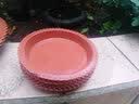 雅亭 鑫腾花卉 圆形塑料托盘 花盆托盘 托盘 圆形波浪边 塑料花盆盆栽 200型内口径15厘米 砖红色 实拍图