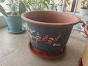 青意萱青意宣 落地紫砂陶瓷花盆红砂紫砂花盆 客厅花卉绿植粗砂花盆 口径32cm+32cm 按口径发货 实拍图