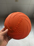 憨憨乐园 狗飞盘宠物玩具耐咬磨牙狗狗训练玩具拉布拉多训犬训狗用品CM 实拍图