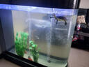 异景园鱼缸水族箱装饰仿真水草水族造景套餐假水草装饰塑料高款大水草绿 CH67大香草【特大】 实拍图