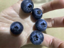 佳沃蓝莓 云南当季国产大果蓝莓水果【JD顺丰-多地次日达】 新鲜蓝莓 12盒【分享装】125g/盒 晒单实拍图