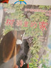 百年经典 白雪公主和七个小矮人 早教启蒙宝宝儿童绘本故事幼儿园 3-6岁 童立方出品  精装绘本 实拍图