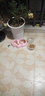 京七鲜肉猫粮无谷成猫幼猫全阶段通用型猫咪猫食品90%高肉益生菌配方 鲜肉无谷猫粮【不加冻干】 10斤（2.5kg/袋*2） 实拍图