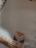 黄河口荞麦枕头颈椎枕护颈枕头枕套+枕芯荞麦壳填充枕芯+纯棉枕套荞麦枕 热带橙 42×75cm-重约7斤（成人大号枕） 实拍图