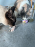 耐吉斯猫罐头金枪鱼蛋黄配方85g成猫幼猫宠物零食猫零食补水汤罐肉罐 实拍图
