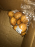 京百味 黄心土豆 1.25kg 简装 新鲜蔬菜 实拍图