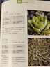 多肉植物完全图鉴 实拍图
