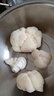 悦來頤和（YUELAIYIHE）新鲜猴头菇有机菌菇东北食用菌当天采摘顺丰直达蘑菇500g 500克 实拍图
