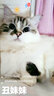 吉芙无谷冻干全价猫粮益生菌猫主粮成幼猫全阶段宠物猫咪营养食品 冻干猫粮7.5kg【1.5kg*5包】 实拍图