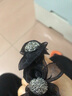 卓可可高马尾发夹女蝴蝶结抓夹丸子头盘发神器网红大号鲨鱼夹子发卡头饰 黑色水钻蝴蝶结【大号】发量偏多 实拍图