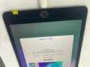 Apple 苹果平板电脑 iPad mini5 二手平板电脑 灰色 256G WiFi+4G 实拍图