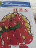 花语笙默四季播种蔬菜种子家庭种菜盆栽田园地栽菜种易种植易生长瓜果菜籽 红圣女果种子（约200粒） 原厂封装1袋 实拍图