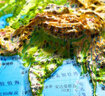 3D凹凸立体世界地形图套装共两册（立体地形图+少儿地图水晶版）4开 实拍图