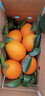 渝奉顺丰正宗重庆奉节脐橙薄皮大果现摘孕妇水果新鲜当季10斤20甜橙子 【中大果75-80】纽荷尔/推荐款 带箱子10斤 实拍图
