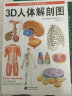 3D人体解剖图 200个精密3D图例 全彩解剖学图谱医学人体生理学人体解剖彩色学图谱局部解剖学人体解剖学 实拍图