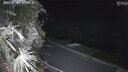 灵翔之光 卧室灯温馨浪漫创意灯具LED客厅家用吸顶灯饰简约现代北欧房间灯 星月灯 52cm三色24瓦 实拍图