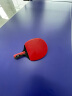 PNT 乒乓球桌室内可折叠移动式乒乓球台家用训练比赛标准乒乓球案子 可折叠 不带滚轮 16mm桌面*30桌腿 晒单实拍图