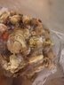 莲山九鲜新鲜冷冻扇贝肉蒜蓉粉丝扇贝生鲜贝类海鲜烧烤火锅食材 扇贝肉 1kg 实拍图