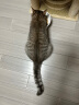 麦富迪宠物猫零食 猫冻干桶成幼猫通用冻干零食十全桶400g 晒单实拍图