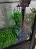 闽江（minjiang）鱼缸水族箱免换水生态造景客厅屏风中大型玻璃龙鱼缸观赏鱼家用 黑色（礼包+造景+升级过滤） 长60*宽30*高135（缸体+储物柜） 实拍图