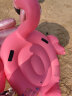 INTEX 新57558小红鹤水上坐骑 成年人火烈鸟儿童玩具充气玩具浮排 实拍图